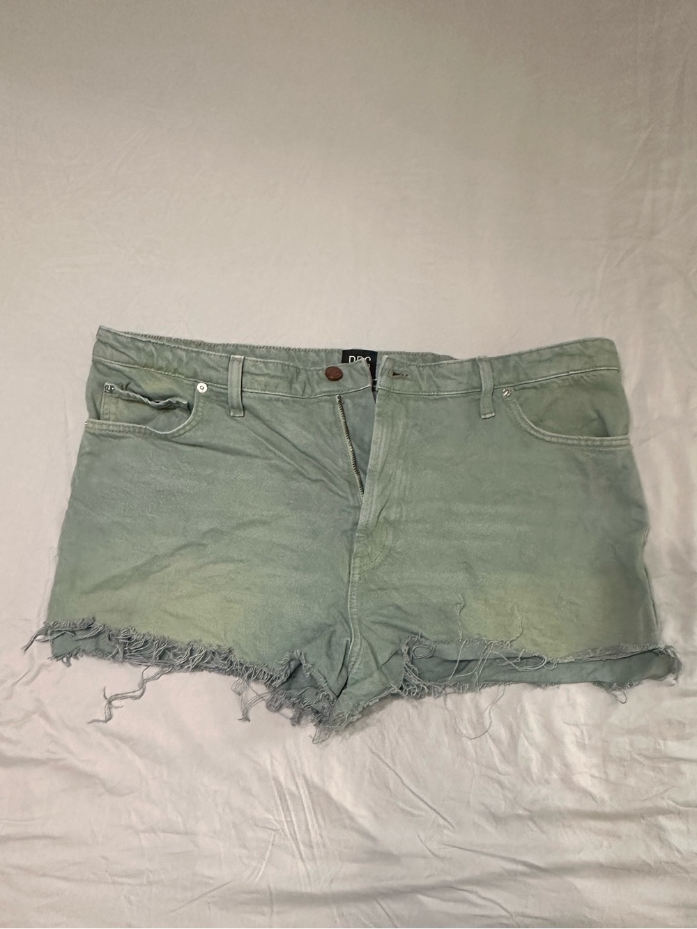 BDG Light Green Frayed Hem Denim Shorts